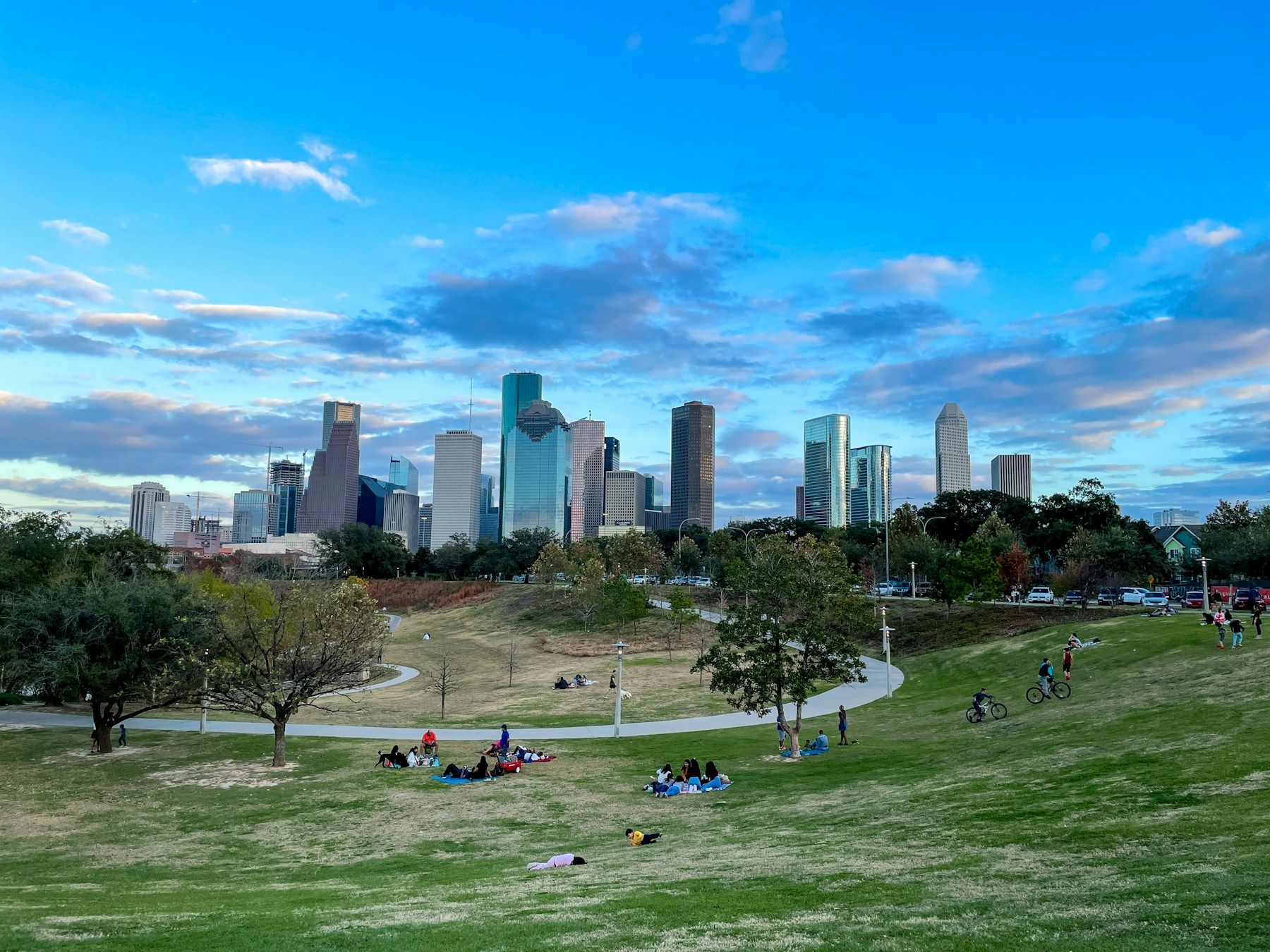 The Houston skyline from a park