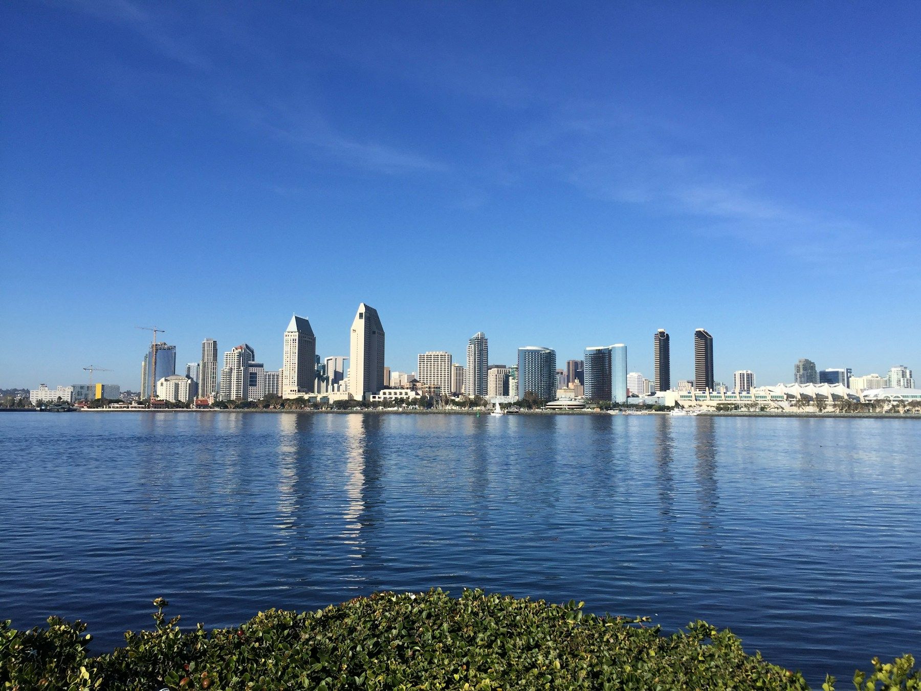 The San Diego skyline across the bay
